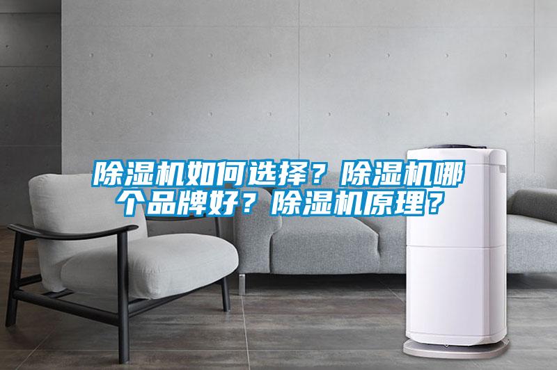 除濕機(jī)如何選擇？除濕機(jī)哪個(gè)品牌好？除濕機(jī)原理？