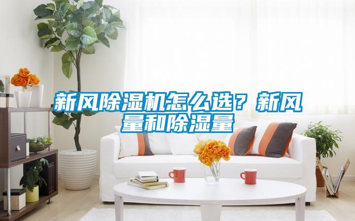 新風除濕機怎么選？新風量和除濕量