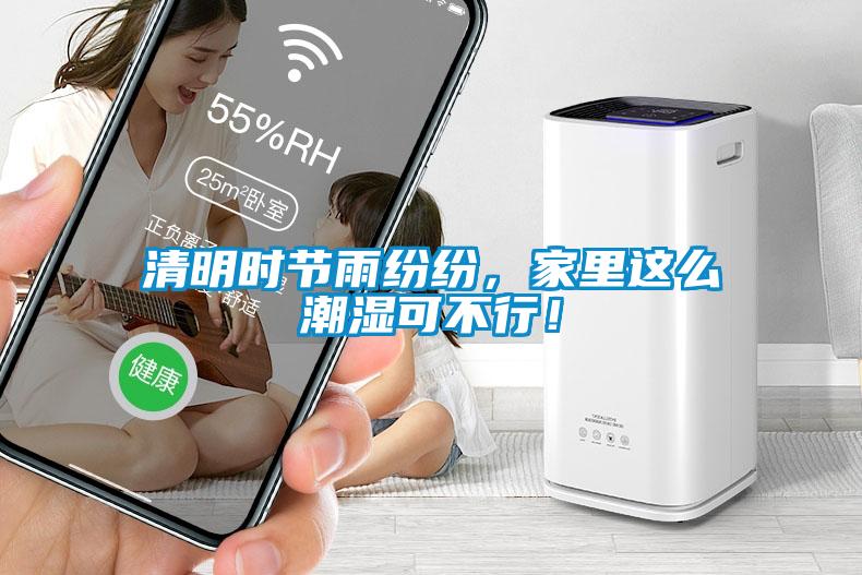 清明時節(jié)雨紛紛，家里這么潮濕可不行！
