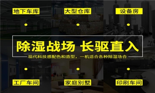 為室內綠化園添置除濕機需要考慮哪些因素？