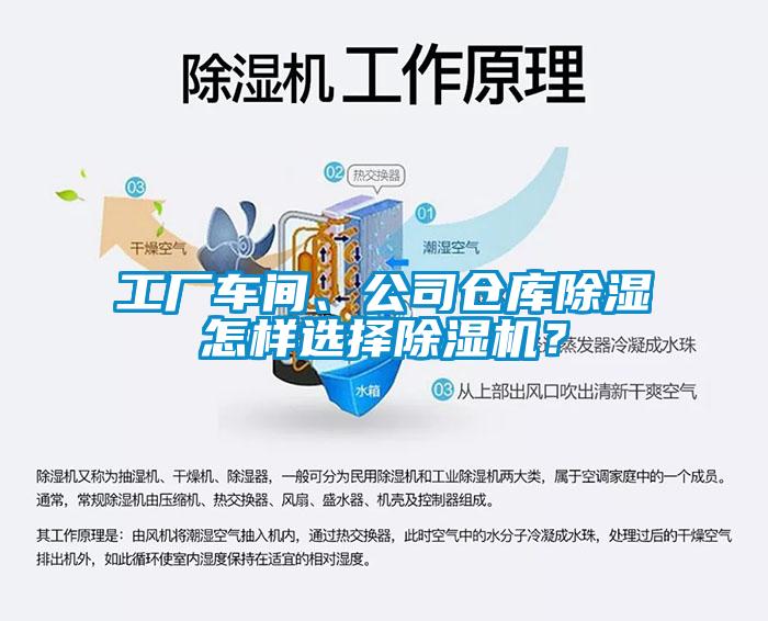 工廠車間、公司倉庫除濕怎樣選擇除濕機？