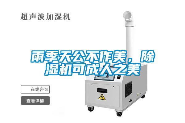 雨季天公不作美，除濕機可成人之美