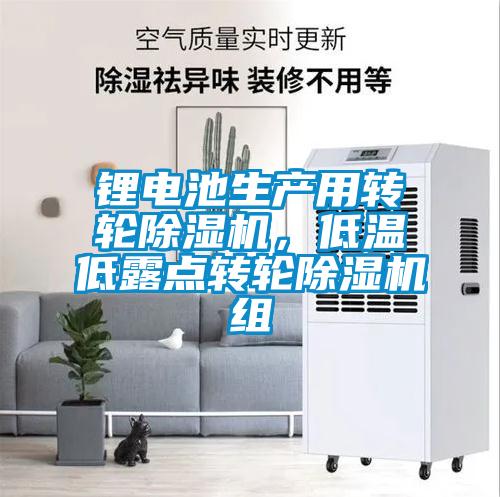 鋰電池生產(chǎn)用轉輪除濕機，低溫低露點轉輪除濕機組