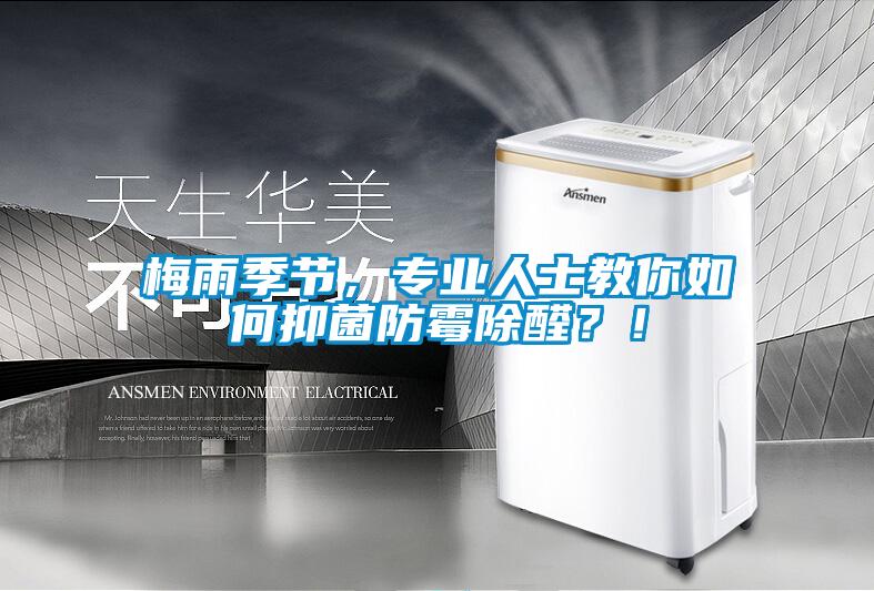梅雨季節，專業人士教你如何抑菌防霉除醛？！