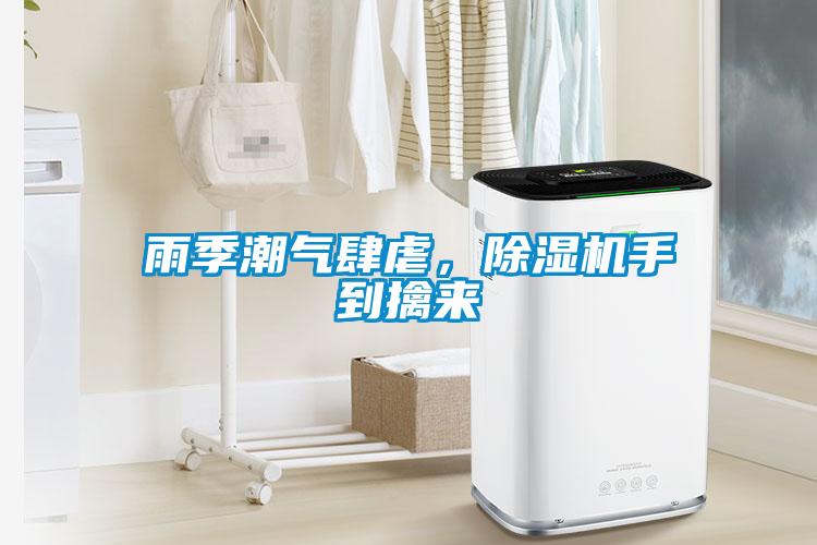 雨季潮氣肆虐，除濕機手到擒來