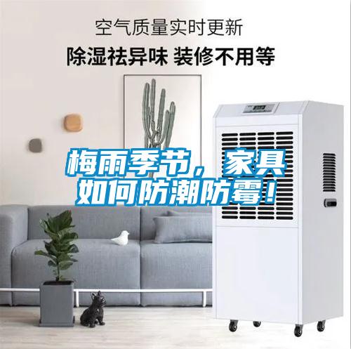 梅雨季節，家具如何防潮防霉！