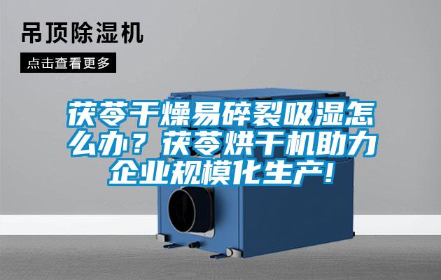 茯苓干燥易碎裂吸濕怎么辦？茯苓烘干機(jī)助力企業(yè)規(guī)模化生產(chǎn)!