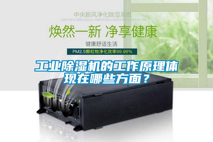 工業除濕機的工作原理體現在哪些方面？