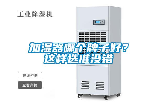 加濕器哪個牌子好？這樣選準(zhǔn)沒錯