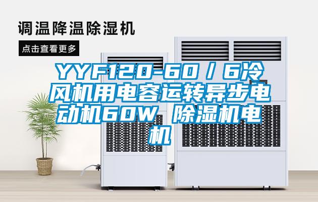 YYF120-60/6冷風(fēng)機(jī)用電容運(yùn)轉(zhuǎn)異步電動(dòng)機(jī)60W 除濕機(jī)電機(jī)