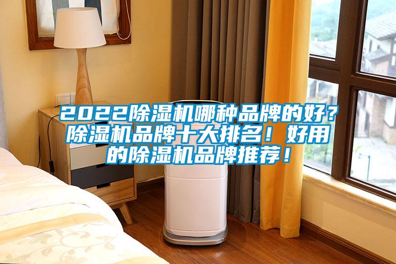 2022除濕機(jī)哪種品牌的好？除濕機(jī)品牌十大排名！好用的除濕機(jī)品牌推薦！