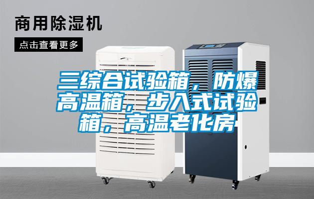 三綜合試驗(yàn)箱,防爆高溫箱,步入式試驗(yàn)箱,高溫老化房