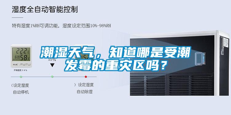 潮濕天氣，知道哪是受潮發霉的重災區嗎？