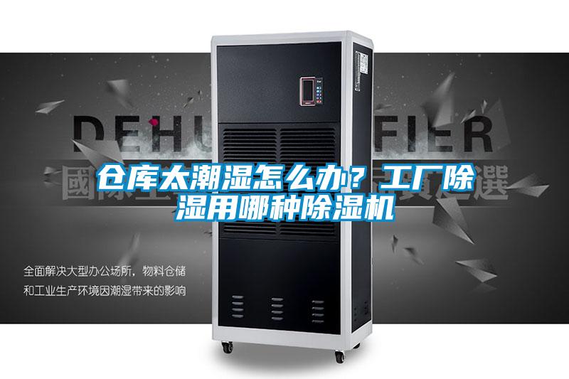 倉庫太潮濕怎么辦？工廠除濕用哪種除濕機(jī)