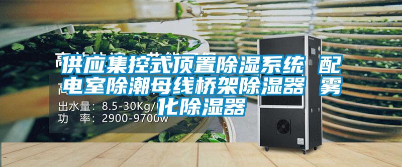 供應集控式頂置除濕系統(tǒng) 配電室除潮母線橋架除濕器 霧化除濕器
