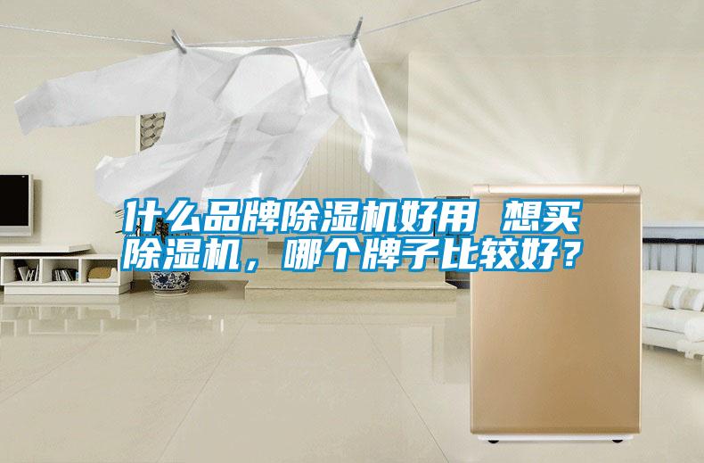 什么品牌除濕機好用 想買除濕機，哪個牌子比較好？