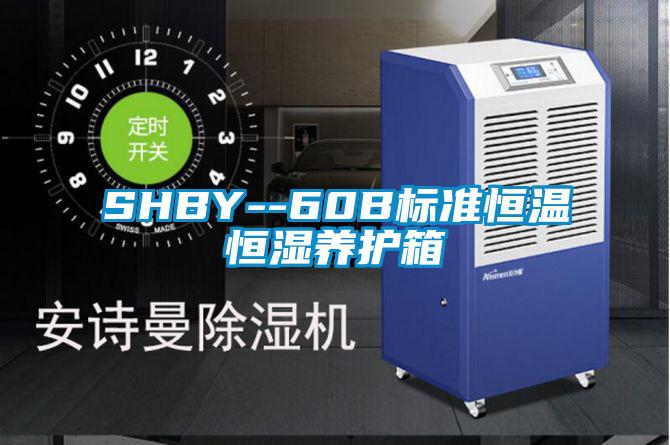 SHBY--60B標(biāo)準(zhǔn)恒溫恒濕養(yǎng)護箱