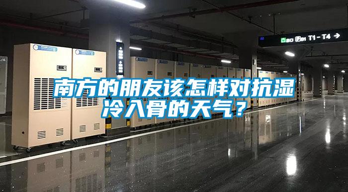 南方的朋友該怎樣對抗濕冷入骨的天氣？