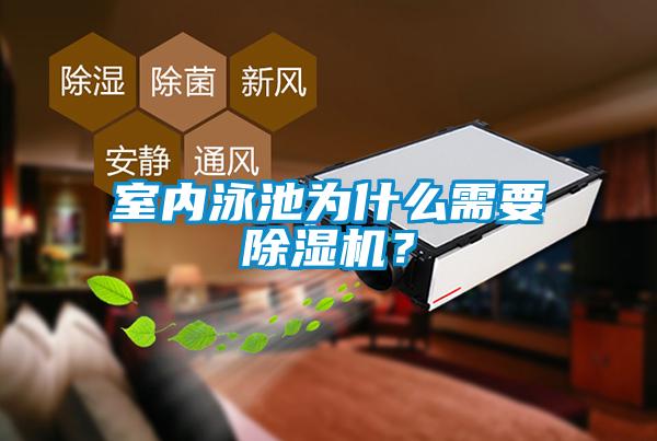 室內泳池為什么需要除濕機？