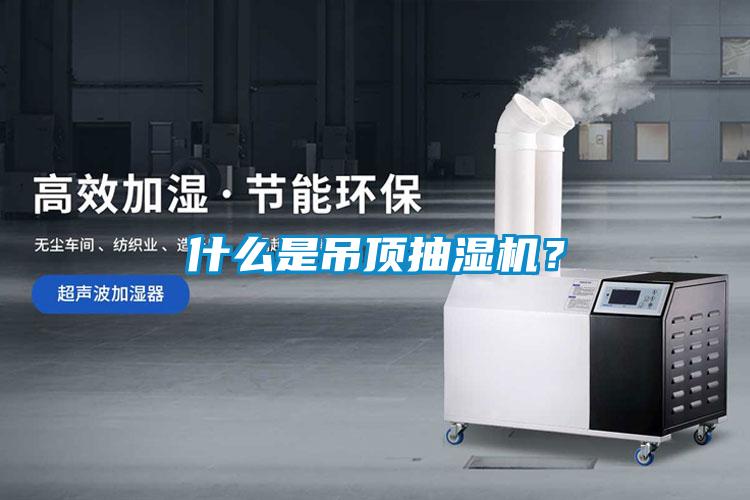 什么是吊頂抽濕機?