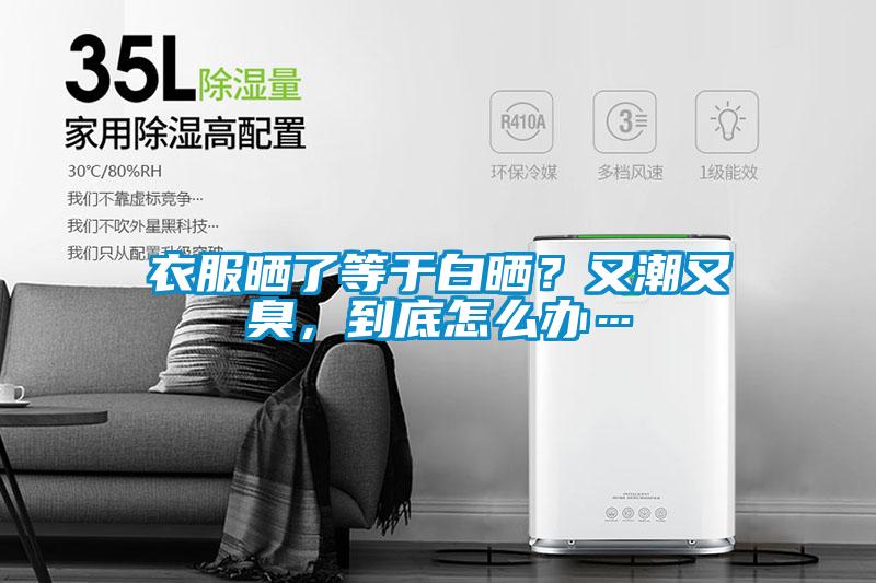 衣服曬了等于白曬？又潮又臭，到底怎么辦…