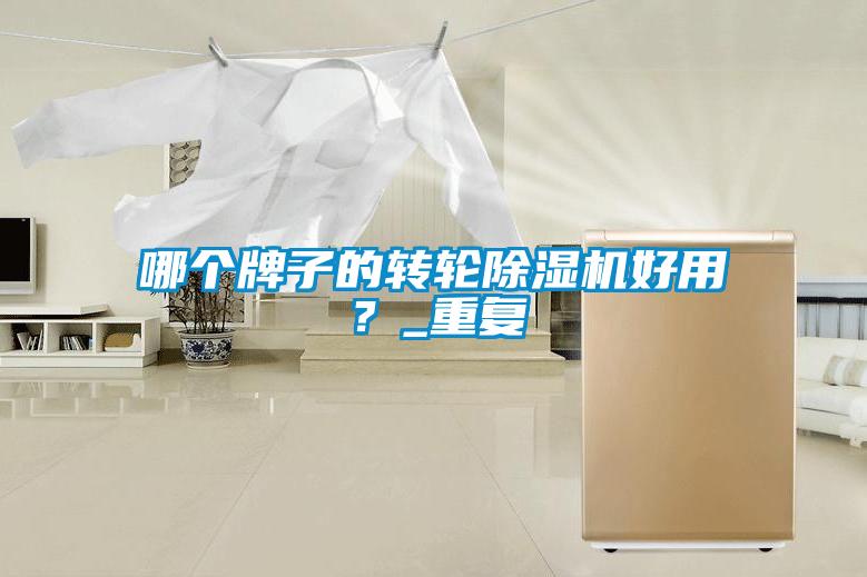 哪個牌子的轉輪除濕機好用？_重復