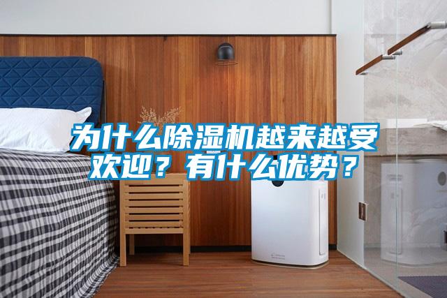 為什么除濕機越來越受歡迎？有什么優勢？