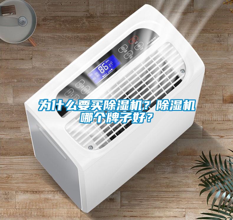 為什么要買除濕機？除濕機哪個牌子好？