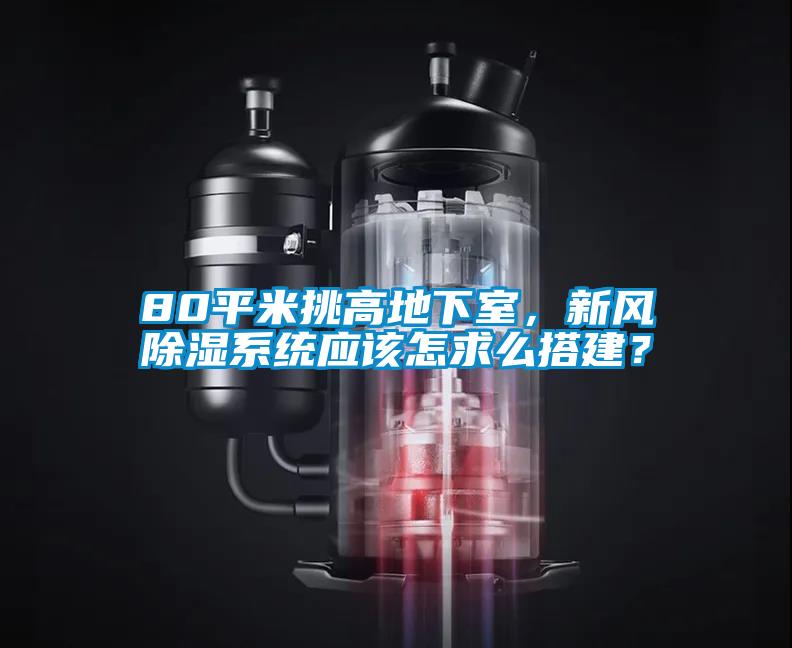 80平米挑高地下室，新風(fēng)除濕系統(tǒng)應(yīng)該怎求么搭建？