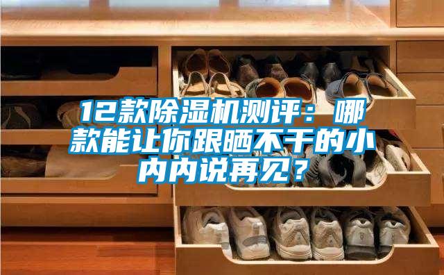 12款除濕機(jī)測(cè)評(píng)：哪款能讓你跟曬不干的小內(nèi)內(nèi)說(shuō)再見(jiàn)？