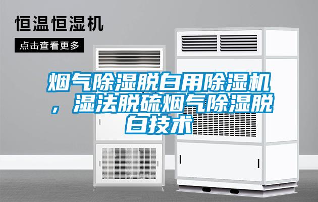 煙氣除濕脫白用除濕機，濕法脫硫煙氣除濕脫白技術(shù)