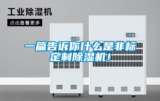 一篇告訴你什么是非標(biāo)定制除濕機(jī)！