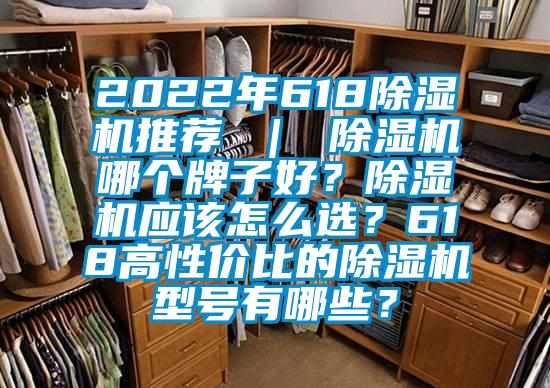 2022年618除濕機(jī)推薦 ｜ 除濕機(jī)哪個(gè)牌子好？除濕機(jī)應(yīng)該怎么選？618高性價(jià)比的除濕機(jī)型號(hào)有哪些？