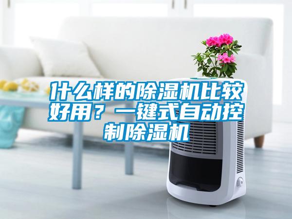 什么樣的除濕機比較好用？一鍵式自動控制除濕機