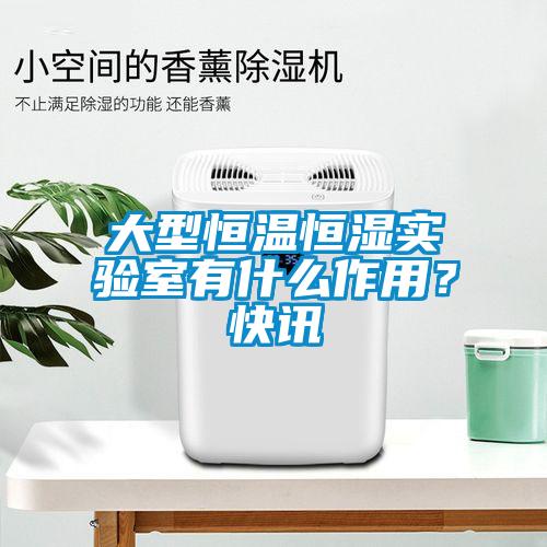 大型恒溫恒濕實驗室有什么作用？快訊