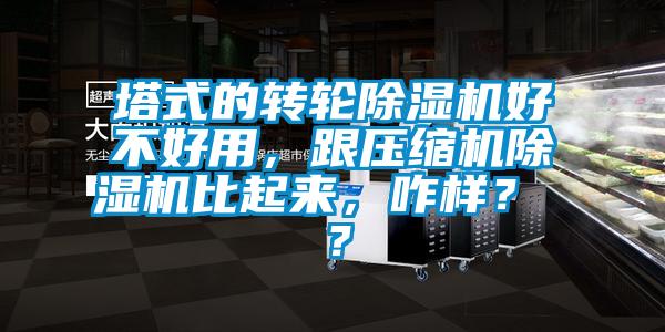 塔式的轉輪除濕機好不好用，跟壓縮機除濕機比起來，咋樣？ ？
