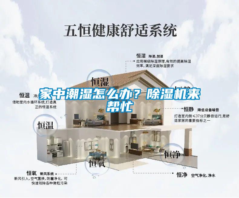 家中潮濕怎么辦？除濕機(jī)來幫忙