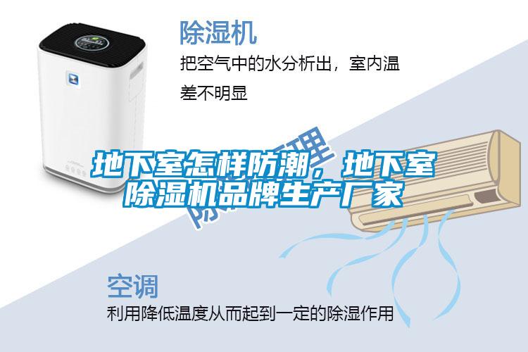 地下室怎樣防潮，地下室除濕機品牌生產廠家