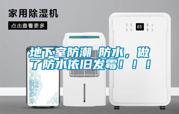 地下室防潮≠防水，做了防水依舊發(fā)霉！！！