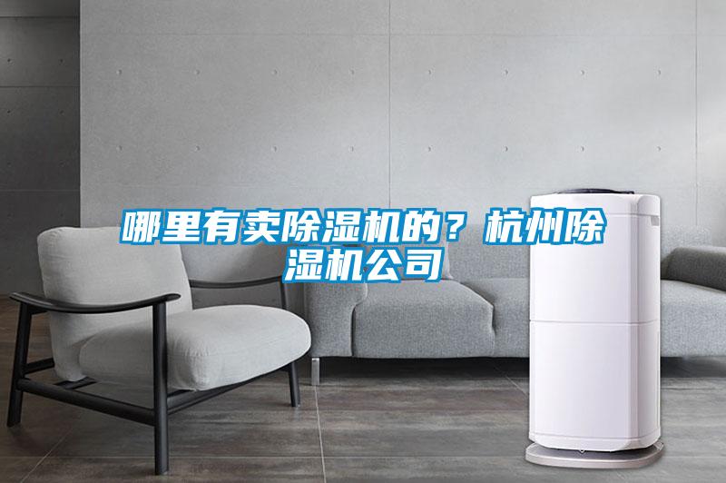哪里有賣除濕機的？杭州除濕機公司