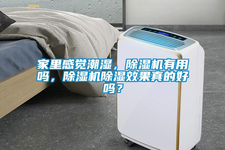 家里感覺潮濕，除濕機有用嗎，除濕機除濕效果真的好嗎？