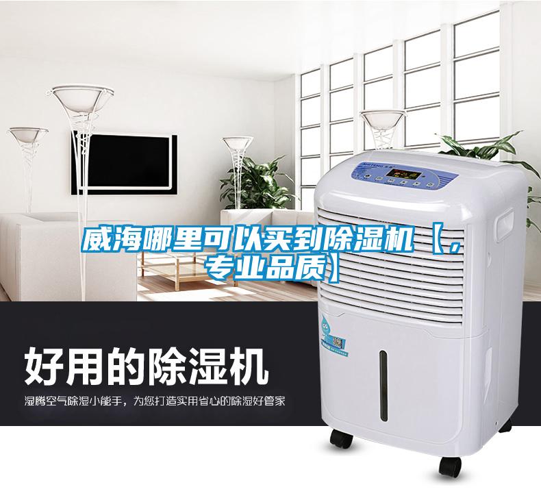 威海哪里可以買到除濕機【，專業品質】