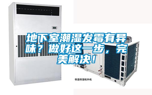 地下室潮濕發(fā)霉有異味？做好這一步，完美解決！