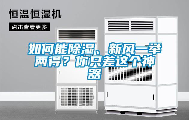 如何能除濕、新風(fēng)一舉兩得？你只差這個神器