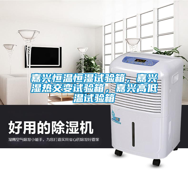 嘉興恒溫恒濕試驗箱，嘉興濕熱交變試驗箱，嘉興高低溫試驗箱