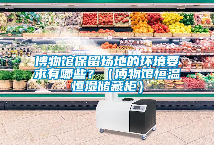 博物館保留場地的環境要求有哪些？（博物館恒溫恒濕儲藏柜）
