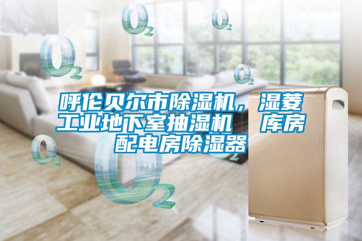 呼倫貝爾市除濕機，濕菱工業地下室抽濕機  庫房配電房除濕器