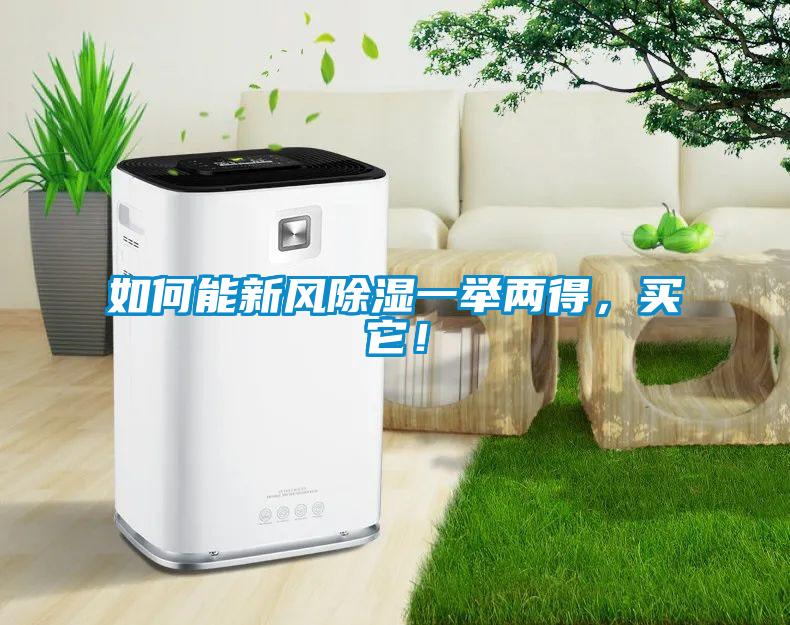 如何能新風(fēng)除濕一舉兩得，買它！
