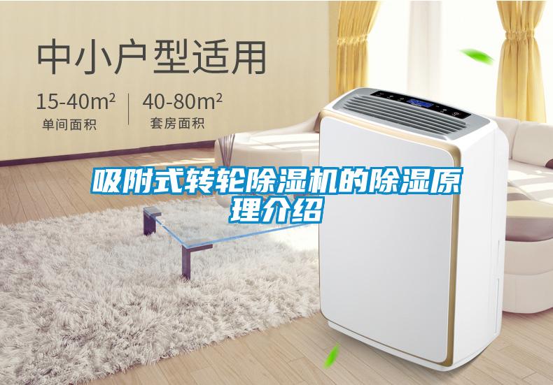 吸附式轉(zhuǎn)輪除濕機(jī)的除濕原理介紹
