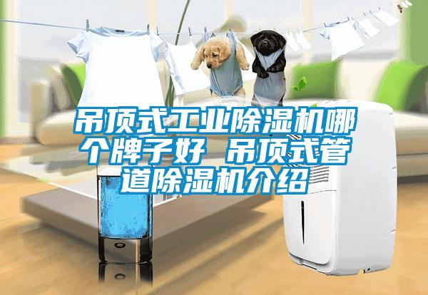 吊頂式工業除濕機哪個牌子好 吊頂式管道除濕機介紹